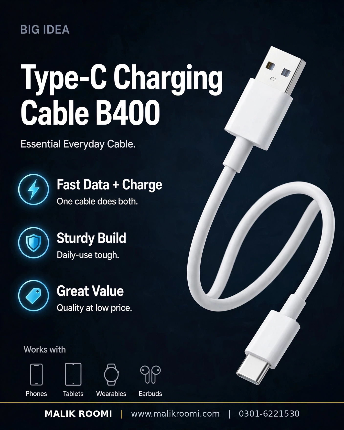 BIG IDEA B400 Data Cable USB to Type-C 2A (1m)